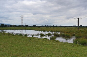 Auenprojekt Niederwissen bei Ilbenstadt