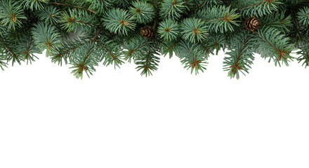 hyper-detailed macro shot of frosted emerald fir branches and pinecones, high-key studio lighting on a transparent background with shallow bokeh, perfect horizontal framing. Concept of festive