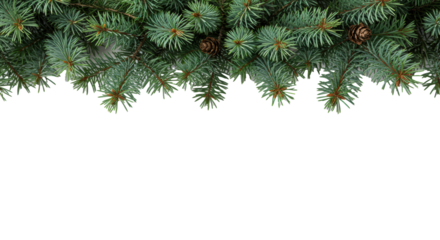 hyper-detailed macro shot of frosted emerald fir branches and pinecones, high-key studio lighting on a transparent background with shallow bokeh, perfect horizontal framing. Concept of festive