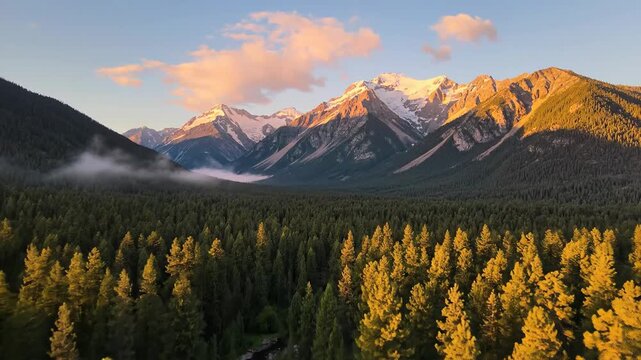 A majestic mountain range with lush pine trees