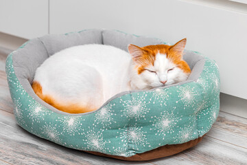 A cute cat is sleeping in a bed. a cat with a red head. soft cat bed