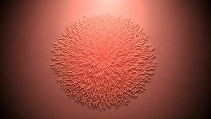 Beautiful pink coral ornament on the red wall