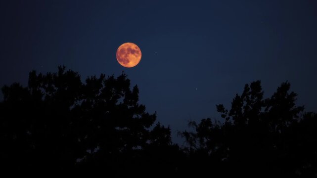 Full Moon with stars, planets and rural countryside tree silhouettes. Time-lapse video.