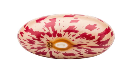 Single speckled kidney bean with red and white patterns