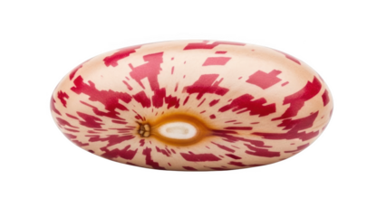 Single speckled kidney bean with red and white patterns