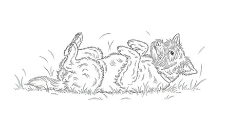 White line drawing of a playful dog rolling in grass