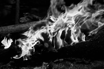Black and white view on campfire in forest