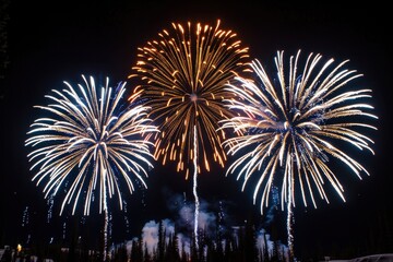 A vibrant display of colorful fireworks illuminating the night sky, creating a festive and celebratory atmosphere.