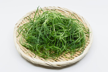 おかひじき　白背景