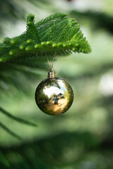 Christmas tree for decorating during the New Year festival