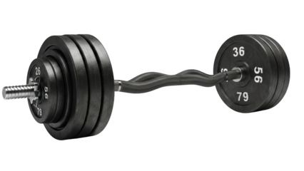Black E Z Curl Barbell With Weight Plates EZ curl bar