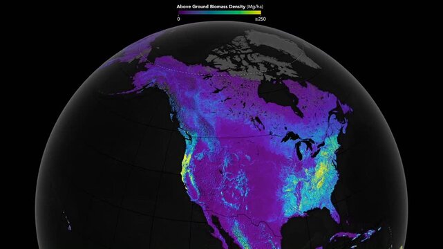 Planet earth with above ground biomass density. Elements of this images furnished by NASA