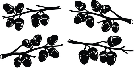 Oak branch silhouette, acorn vector icon, botanical illustration, black nature graphic, forest element, tree fruit design, minimal leaf style © Faruk Here