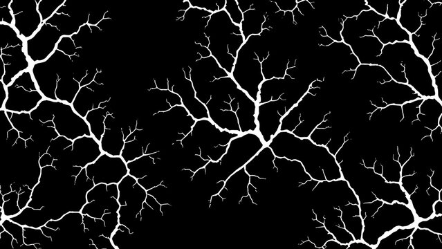 malbec. Abstract fungal mycelium network pattern with white filaments and organic branching on dark background. gardening catalogs, home-decor guides, designed for gardening and botanical catalogs.