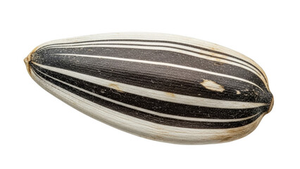 Single striped sunflower seed macro isolated on black background black and white
