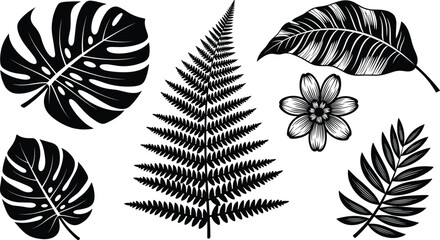Black vector silhouettes set of six different tropical plants, including Monstera, palm, and fern leaves, perfect for exotic decoration, nature branding, and rainforest concepts. © Asha Moni