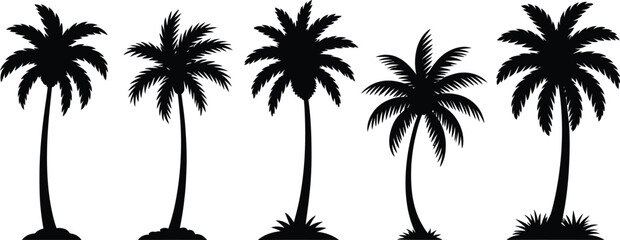 Fototapeta premium Set of tropical palm tree silhouettes isolated on white background
