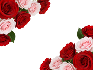 Diagonal Bloom: A Romantic Border of Crimson and Blush Roses Framing Elegance and Space