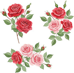 Three bouquets of red and pink roses with green leaves