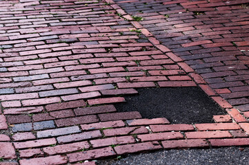 Urban Decay: Weathered Brick Pavement With Asphalt Repair Patch, Moss Growing Vertical Shot