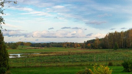 Evening landscape with green grass and forest. Evening landscape with green grass and cloudy blue sky
