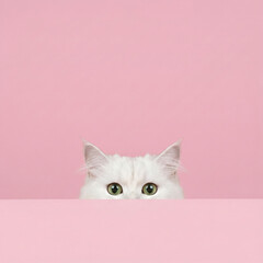 Minimalist Cat Peeking Over Wall