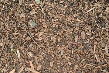 Fototapeta premium Natural Bark Mulch on Ground in Close Up 