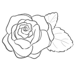 ブラックインクで描かれた白黒モノクロの薔薇線画イラスト 塗り絵やタトゥー下絵に使えるフローラルモチーフ ミニマル線画アートスタイル