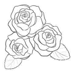 ブラックインクで描かれた白黒モノクロの薔薇線画イラスト 塗り絵やタトゥー下絵に使えるフローラルモチーフ ミニマル線画アートスタイル