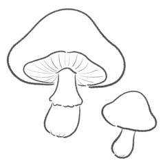 シンプルな手描き風のキノコの線画イラスト