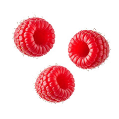 Three red raspberries floating on transparent background