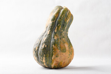 Ripe, yellow-green butternut squash after autumn harvest from an organic farm, on a white background. A healthy cooking ingredient