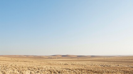 Golden Wheat Field Under a Vast Blue Sky, Rural Landscape Horizon