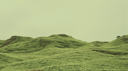 Rolling Green Hills Under a Cloudy Sky