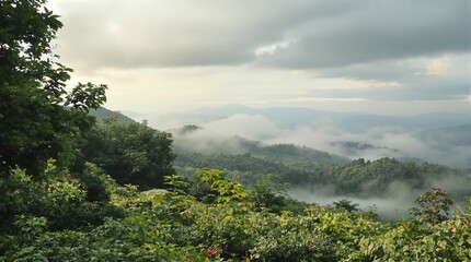 Misty Mountain Landscape with Lush Green Forests and Cloudy Sky