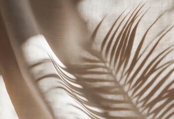 Beige fabric with palm leaf shadow, natural light