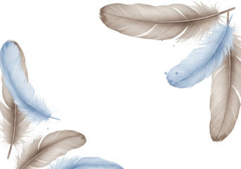 delicate watercolor illustration of pastel blue and muted brown feathers, highly detailed and layered on a transparent background with copy space. concept of ephemeral natural beauty