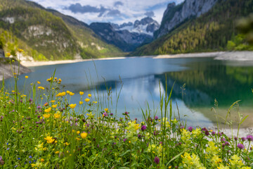 Gosausee lake in Austria Alps mountains. Austria alpine landscape in summer near Dachstein mountain range. Scenic waterfront and natural surroundings popular tourist destination in Austria Gosau See