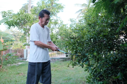 A man is trimming a tree in his yard