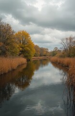 Fototapeta premium Calm water flows through autumn wetland reeds and trees with yellow leaves. Overcast sky creates moody atmosphere. Nature park scene reflects on dark water surface.