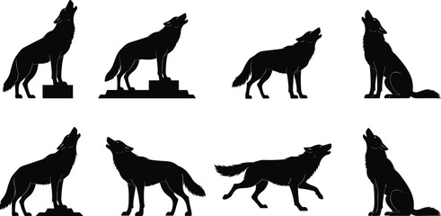 Set of black silhouettes showing howling wolves in various poses and standing positions isolated on a white background vector © Md