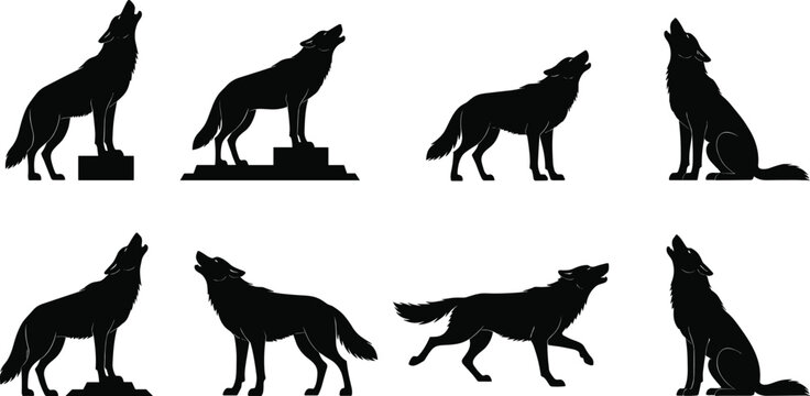 Set of black silhouettes showing howling wolves in various poses and standing positions isolated on a white background vector