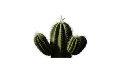 Cactus with Star on Top