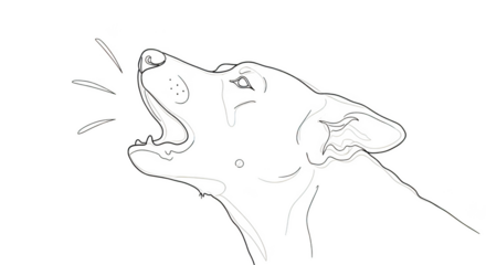 White outline of a dog howling on black background barking animal