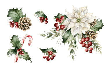 Winter floral arrangements set. Poinsettia flower Holly berry Eucalyptus Pine Cone. Watercolor hand drawn isolated illustration on white background for Christmas New Year design cards holiday print