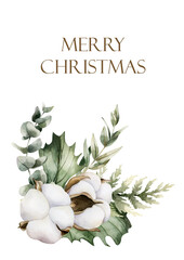 Cotton with Eucalyptus and Holly berry leaves greeting card. Winter arrangement. Watercolor hand drawn isolated illustration on white background for Christmas design holiday print cozy home textile
