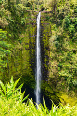 Hawaii Big Island und seine Naturwunder