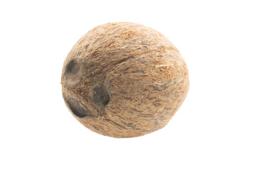 Full Fresh Coconuts depth of field