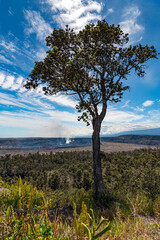 Hawaii Big Island und seine Naturwunder