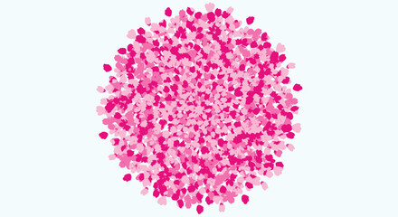 Pink Cherry Blossom Petals Falling, Spring Floral Background, Sakura Flowers